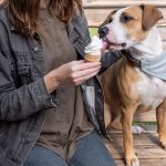 can dogs eat vegan ice cream