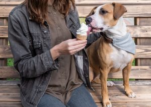 can dogs eat vegan ice cream