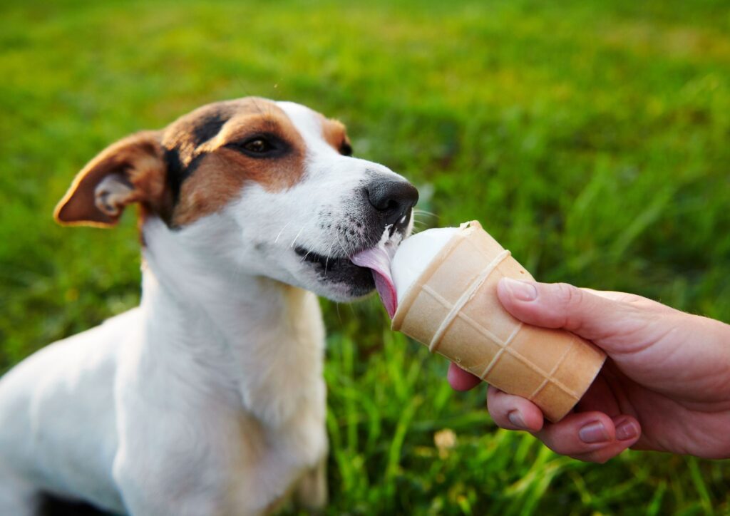 what ice cream can dogs eat